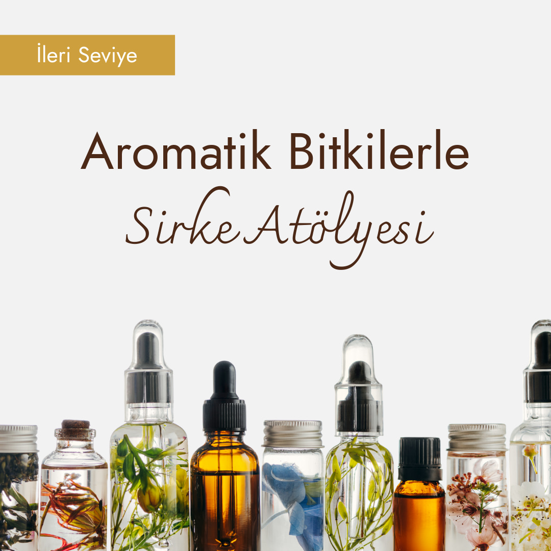 Aromatik Bitkilerle Sirke Atölyesi (İleri Seviye)