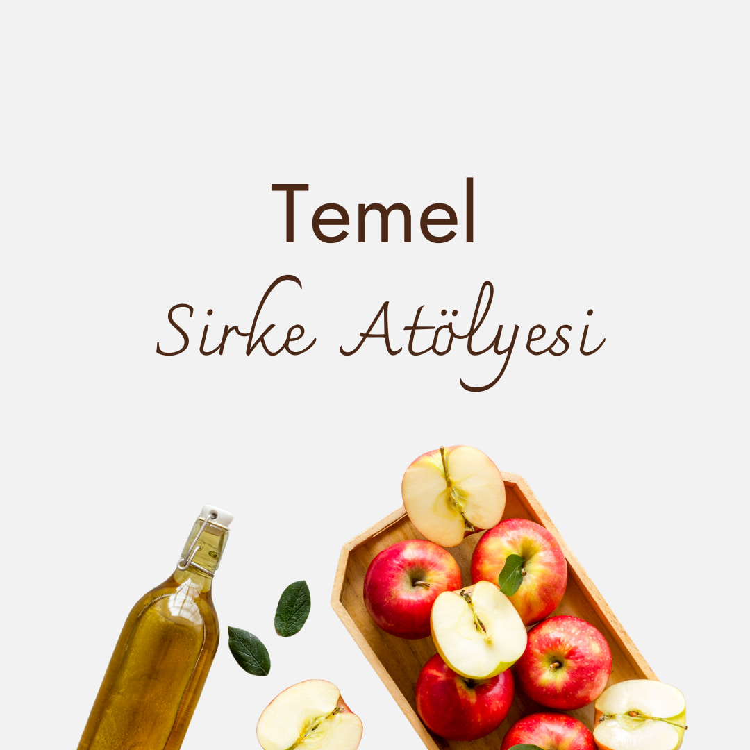 Temel Sirke Atölyesi