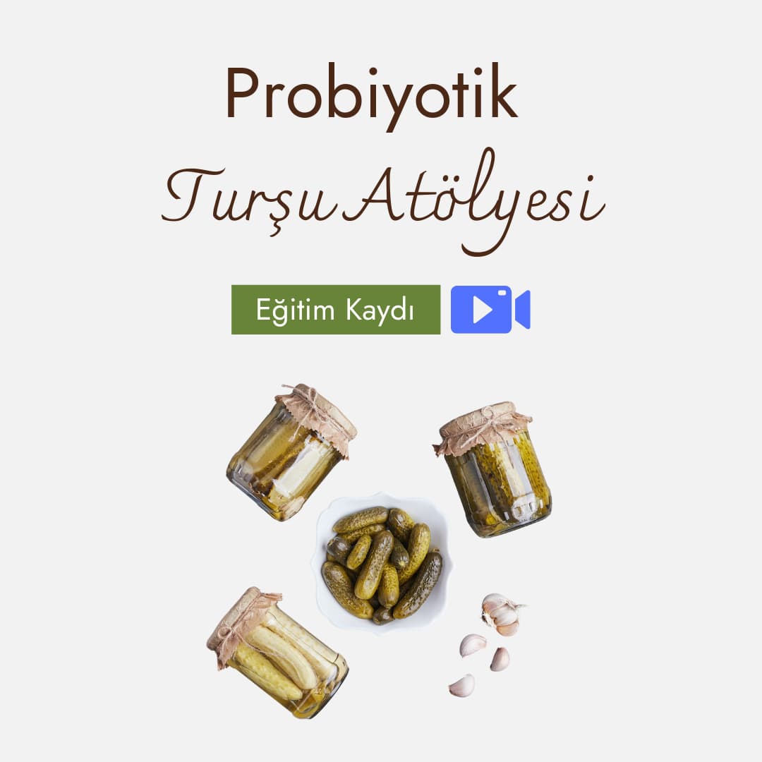 Probiyotik Turşu Atölyesi - Eğitim Kaydı